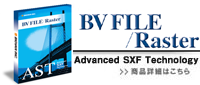 BV FILE/Raster